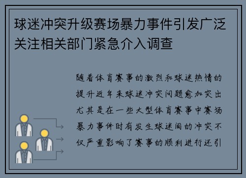 球迷冲突升级赛场暴力事件引发广泛关注相关部门紧急介入调查